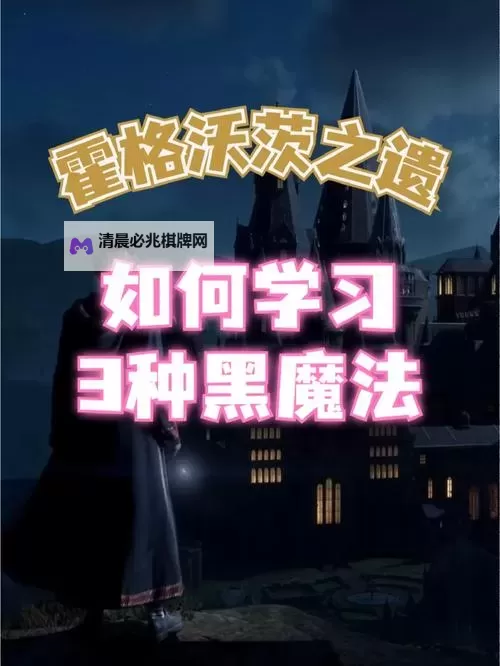 《霍格沃茨之遗》无黑魔法前中期潜行植物流玩法教学图1