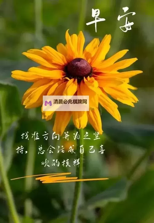 正能量照片无遮掩能放大：用影像传递无限正能量图1