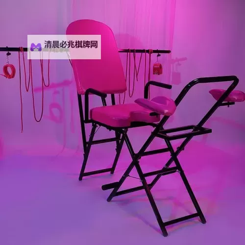 探索私人玩物福利:提升生活品质的新体验图1