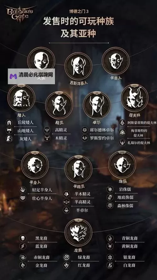 《博德之门3》正式版新种族职业介绍图1