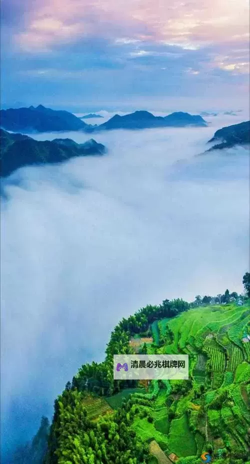 中国高清WINDOWS视频亮点:精彩瞬间全景展示图2