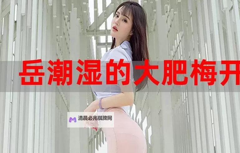 岳潮湿的大肥梅开二度第三部:新篇章的荣耀与传说图1