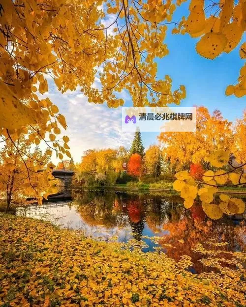 色老大电影:揭示黑暗中的光影与人性图1