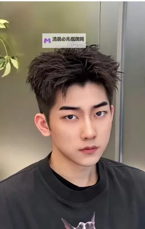 2024年最新男生发型图片推荐,塑造多样潮流造型图1