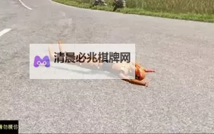 枪先生电脑版下载 怎么下载枪先生电脑版模拟器图1