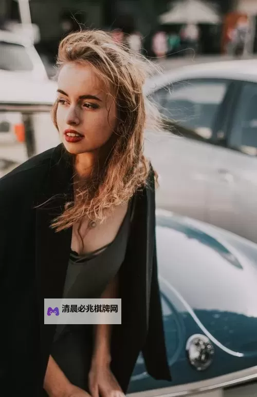 高清欧美电影推荐:亚洲欧美高清第一页的精彩观影体验图1