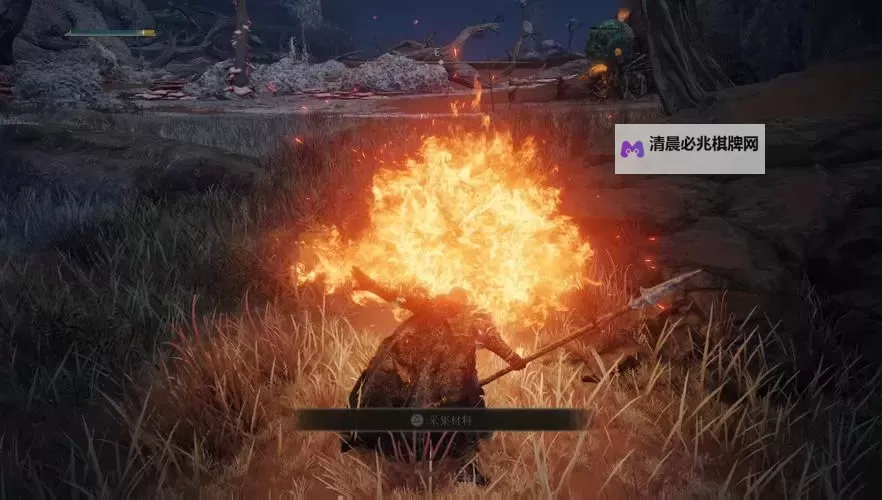 《艾尔登法环》红熊打法分享 DLC红熊怎么打图2