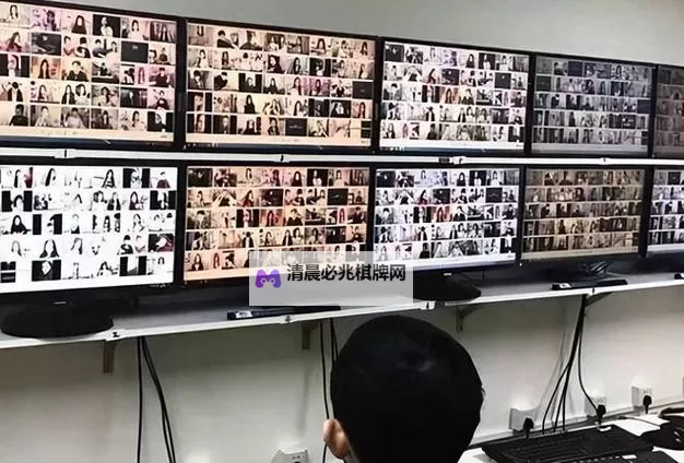 中国黄片vs美国黄片:文化差异与内容审查的比较分析图1