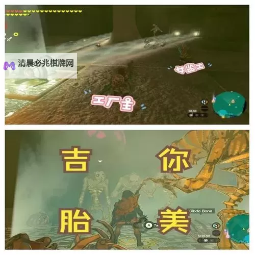 《塞尔达传说王国之泪》雷之神殿Boss吉波得女王打法教学 吉波得女王怎么打图1