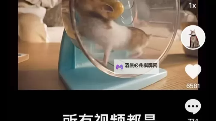 搞笑瞬间:走一步故意深深地撞一下视频揭秘现场反应图1