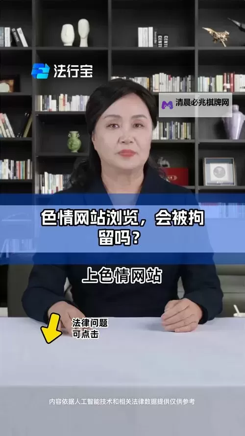 有成人网站吗?全面解答与安全指南图1