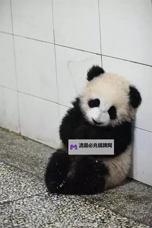 自己坐下来不疼乖乖的:温暖治愈的小故事图1