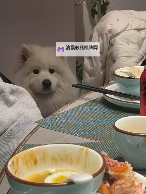 自己坐下来不疼乖乖的:温暖治愈的小故事图2