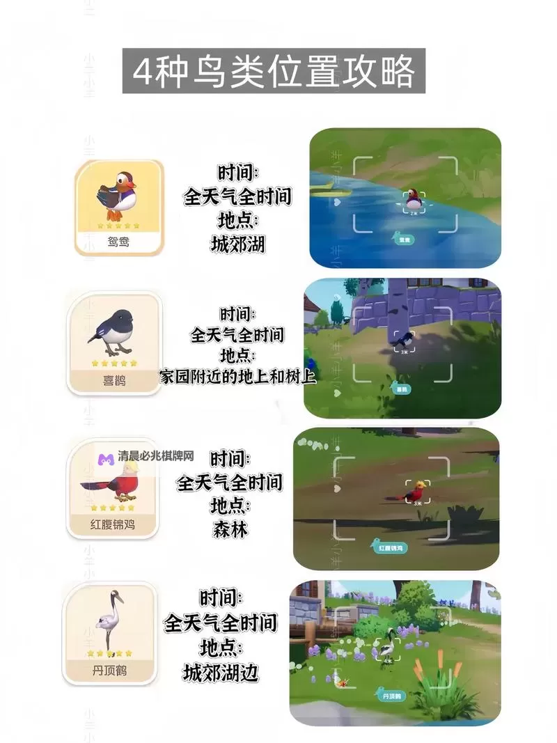 《心动小镇》白秋沙鸭位置说明 白秋沙鸭在哪出现图1