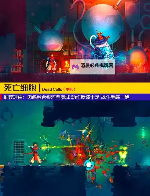 肉鸽音乐游戏合集 肉鸽音乐游戏有哪些图1