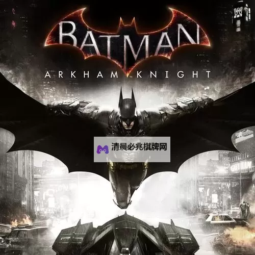 《蝙蝠侠阿甘骑士》卡顿解决方法 蝙蝠侠阿甘骑士卡顿怎么办图2