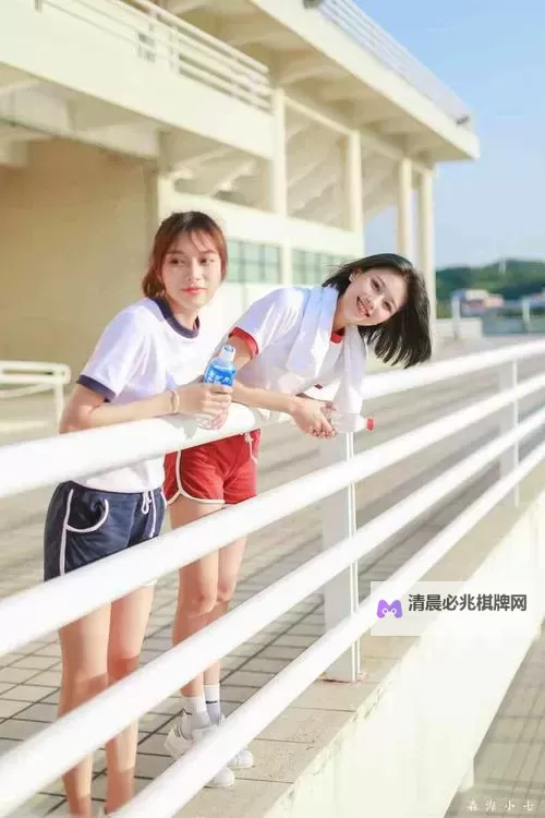 畅享精彩视觉盛宴:一本大道在线视频推荐图1