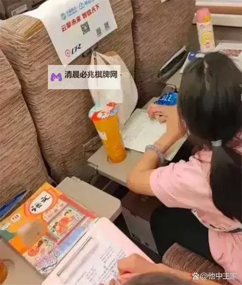 奇趣体验:坐在振动棒上写作业的奇异瞬间图1