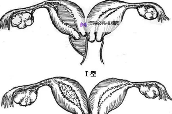 正常阴唇的样子照片视频:了解女性身体的自然美与健康图1