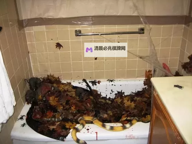 《浴室少女二十天:恐怖的秘密逐渐揭晓》图1
