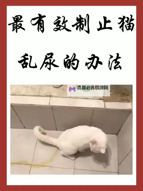 别再揉了,我要尿了!紧张时刻的搞笑反转图1