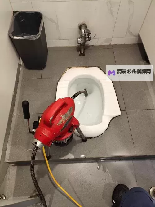 如何用大宝贝疏通下水道：家庭快速解决方案图1