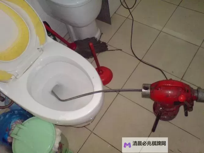 如何用大宝贝疏通下水道：家庭快速解决方案图2