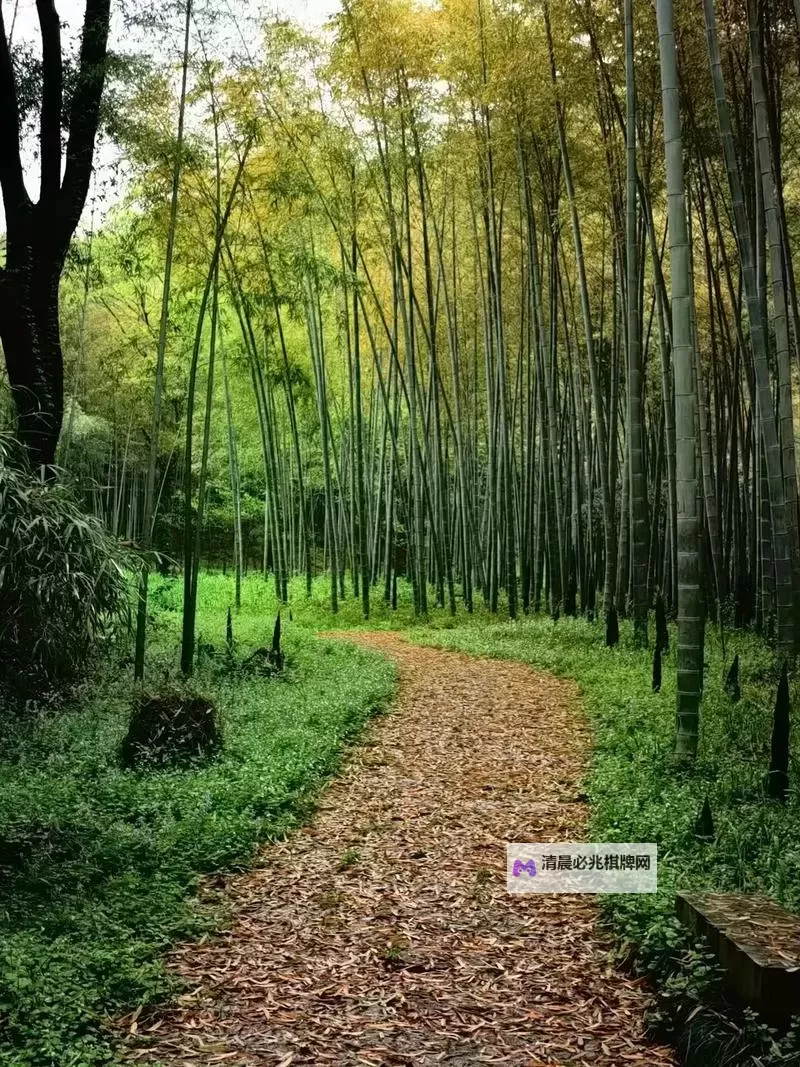 《狂战传说》粉色猫咪宝箱位置及收集攻略 猫人箱收集攻略图2