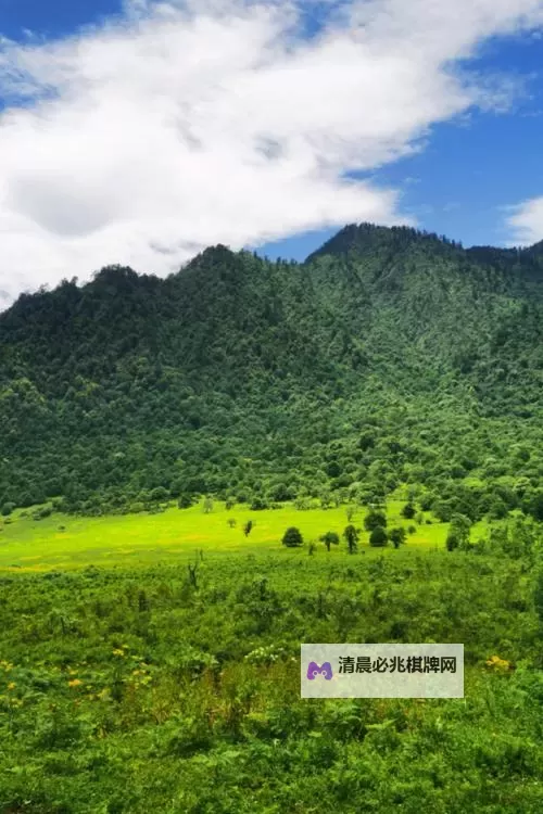 《狂战传说》粉色猫咪宝箱位置及收集攻略 猫人箱收集攻略图1