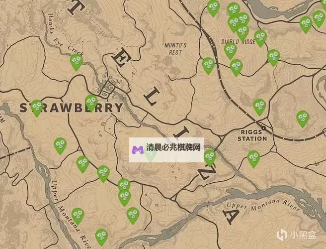 《荒野大镖客救赎》宝藏猎人挑战攻略及宝藏位置图2