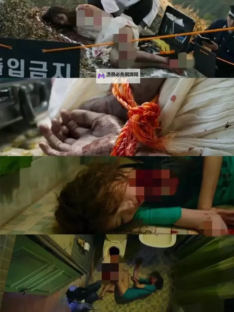 探索精彩影视世界：畅享98看片的极致体验图1