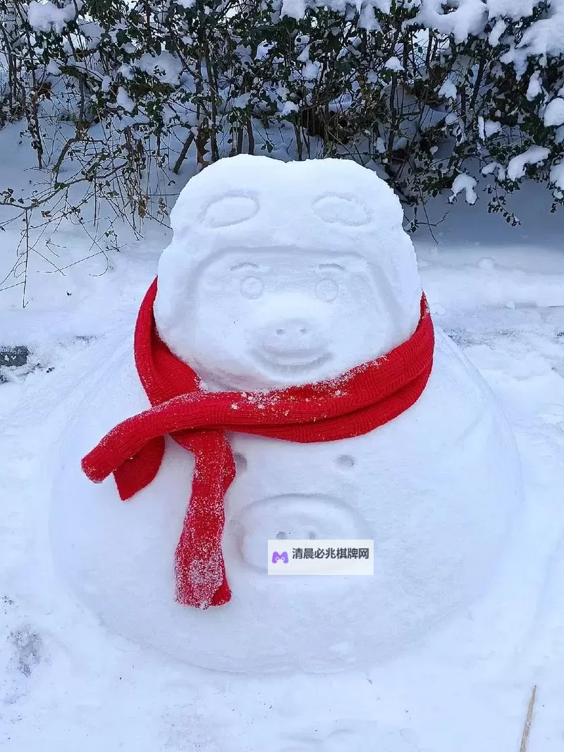 小猪第一次见到雪太兴奋:一场冰雪奇缘的欢笑时刻图1