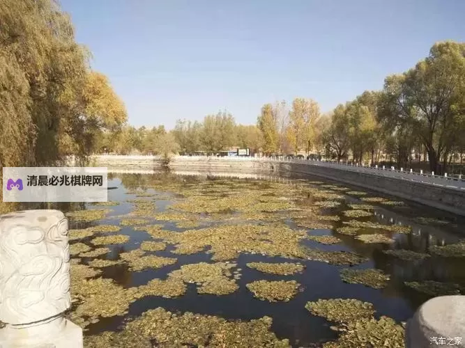 岳今晚让我玩个够肥水一体探岳体:畅享极致体验的完美之夜图1