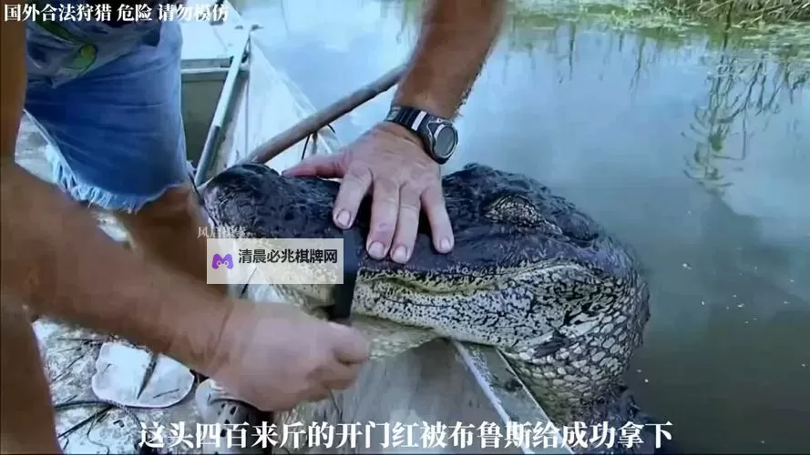 沼泽猎手2：深藏的秘境与未知的危机图1