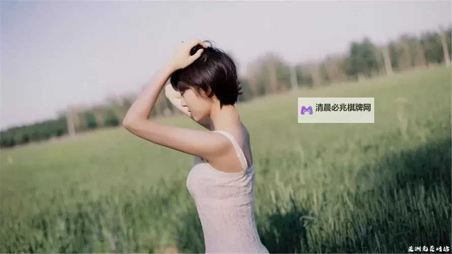 《探索孤独:亚洲寂寞影院911背后的故事与思考》图1