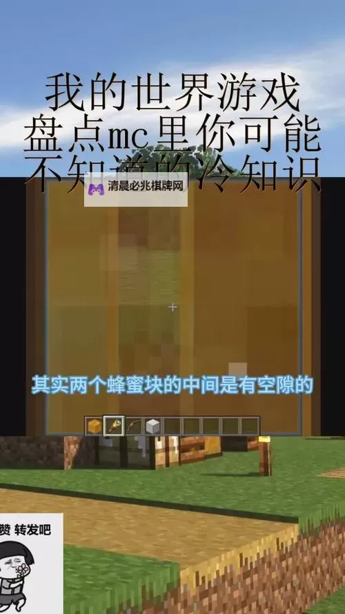 《我的世界》你不知道的十大真相盘点 有趣细节及冷知识图1