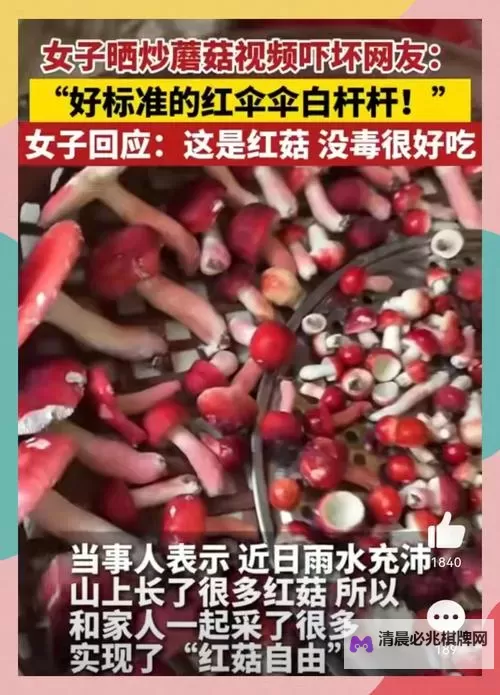 探索精彩世界:畅享蘑菇在线视频的无限乐趣图1