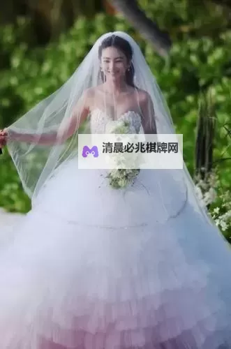《爱情与冒险:胸大丰满新娘电影中的浪漫故事》图1