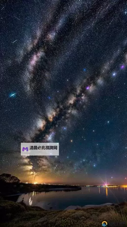 《星空大象在线观看免费高清:感受奇幻之旅的震撼魅力】图1