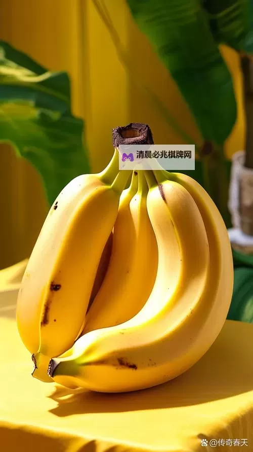 探索便捷通信的首选——香蕉手机网带你畅享无限可能图1