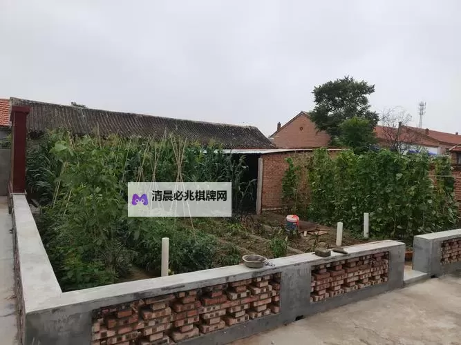 探索Chinese农村xxc现象的原因与影响图1