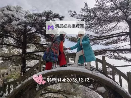 岳开始迎合:探索他逐渐适应新环境的心路历程图1