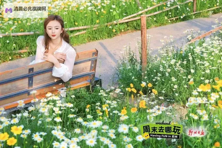 探索精彩内容:五月婷免费视频集锦推荐图1