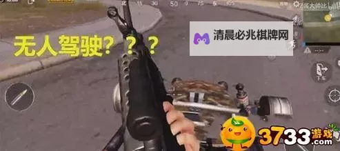 《荣耀战魂》领取拾荒者木箱BUG用法 刷箱子BUG怎么用图2