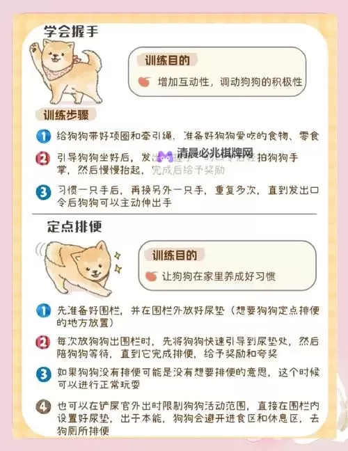 怎么让狗狗进入自己的房间不再困难的实用技巧图2