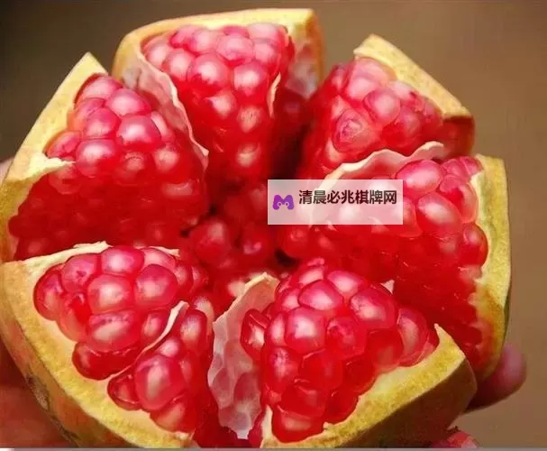 玉杵入牦户:天下一奇吃桔带皮的奇趣体验图1