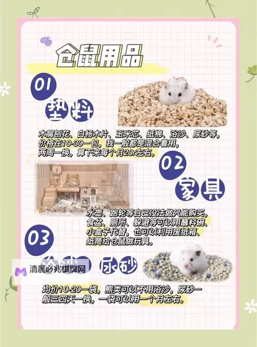 最强祖师仓鼠党储物袋怎么打开 最强祖师仓鼠党储物袋打开方法图2