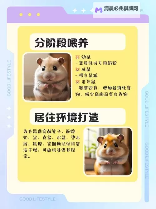 最强祖师仓鼠党储物袋怎么打开 最强祖师仓鼠党储物袋打开方法图1