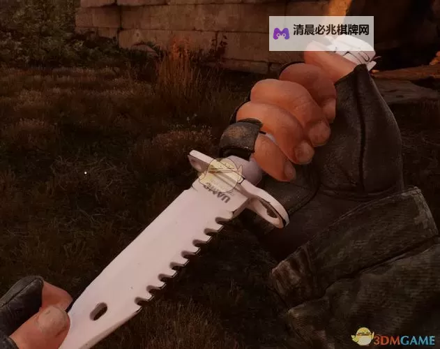 《潜行者2切尔诺贝利之心》物品无重量MOD分享图1