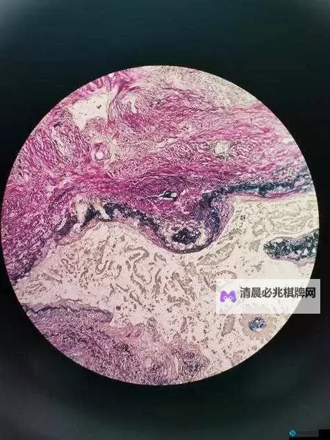 探索粉色abb苏州粉色晶体结构的魅力与奥秘图1